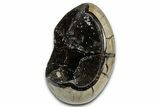 Free-Standing, Polished Septarian Geode - Black Crystals #337285-2